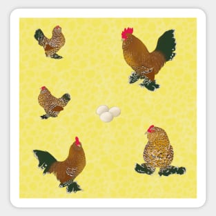 Belgian D'Uccle Pattern Yellow Sticker